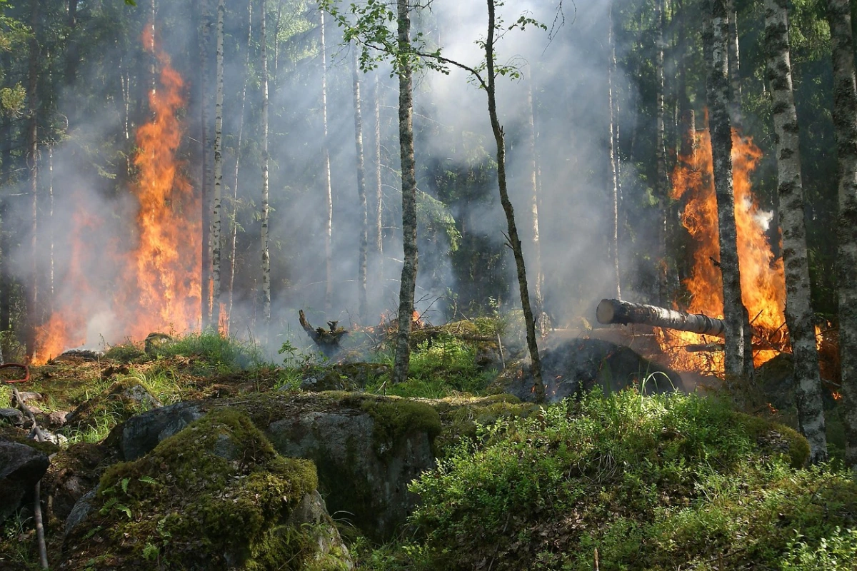 Incendi