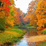 Foliage d’autunno 2025, i boschi italiani dove i colori tolgono il fiato