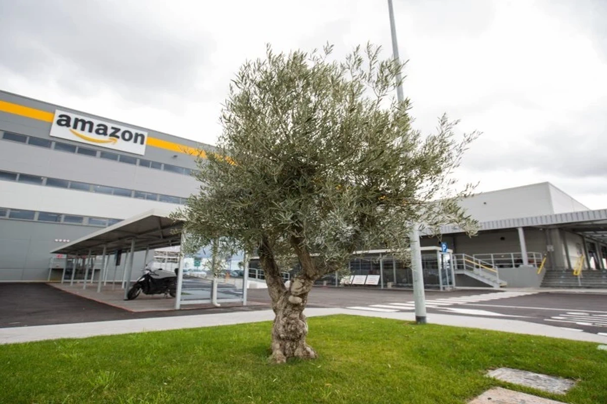 Amazon ti paga per imparare_